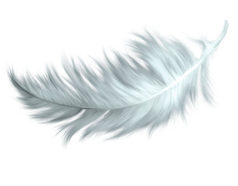 pluma